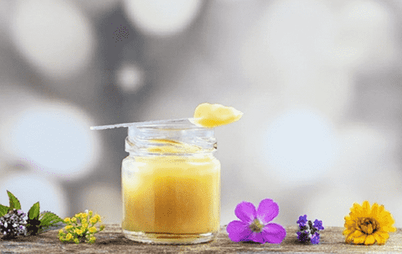 Sữa ong chúa từ chúng tôi – tinh túy từ vùng ong Hà Giang
