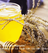Mật Ong Bạc Hà Và Những Lợi Ích Tuyệt Vời Cho Sức Khỏe